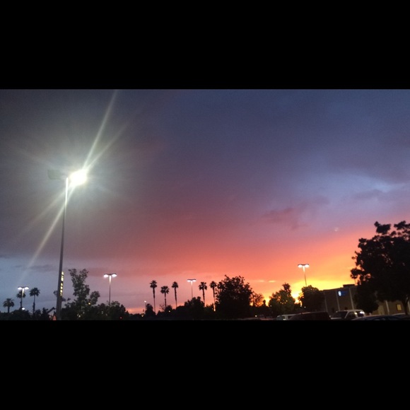 Meet your Posher, Veronica - Picture 1 of 1