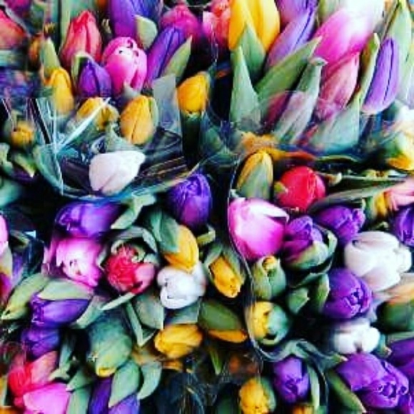 Meet your Posher, Angie - Picture 4 of 5