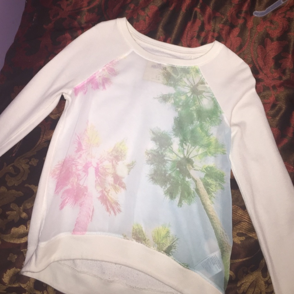 hollister shirt