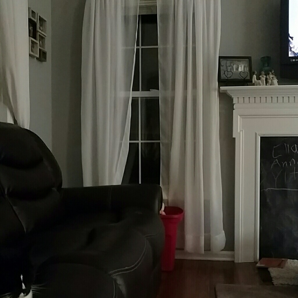 Meet your Posher, Dianne