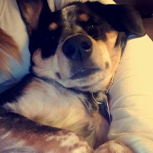 Meet your Posher, Missy