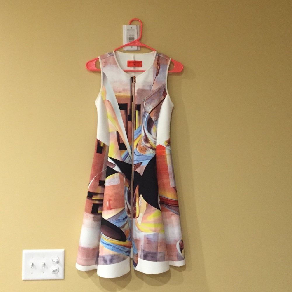 Clover Canyon Dress Small New