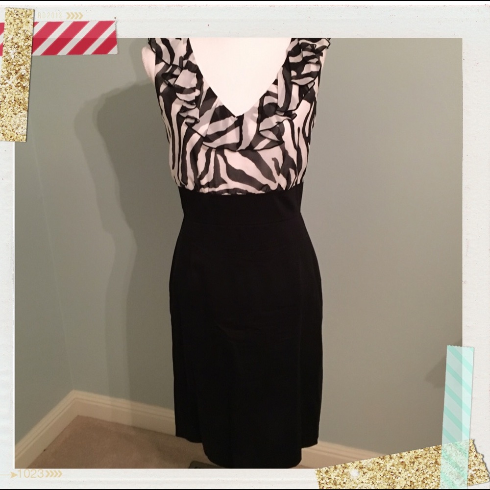 Zebra Print VNeck Dress
