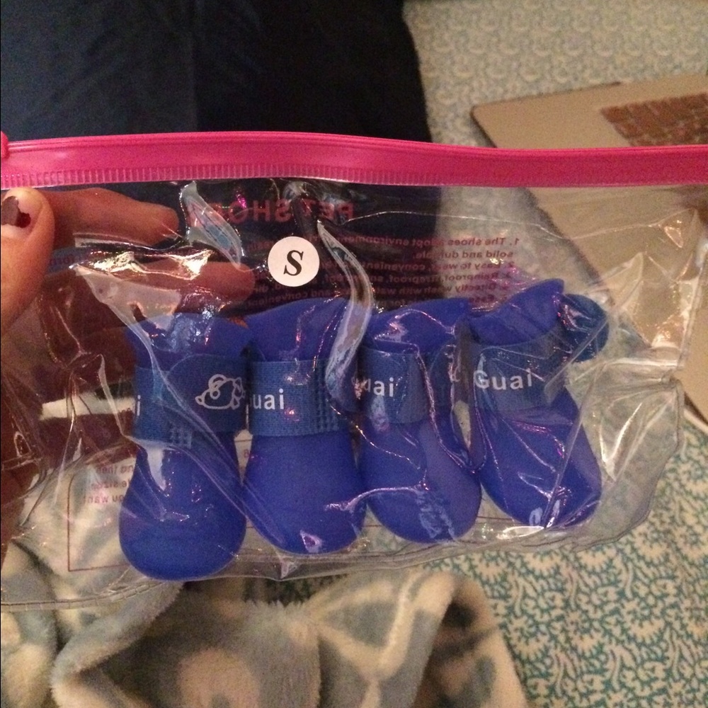 Puppy rain boots