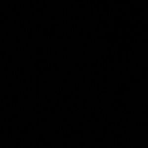 Meet your Posher, Carmanita