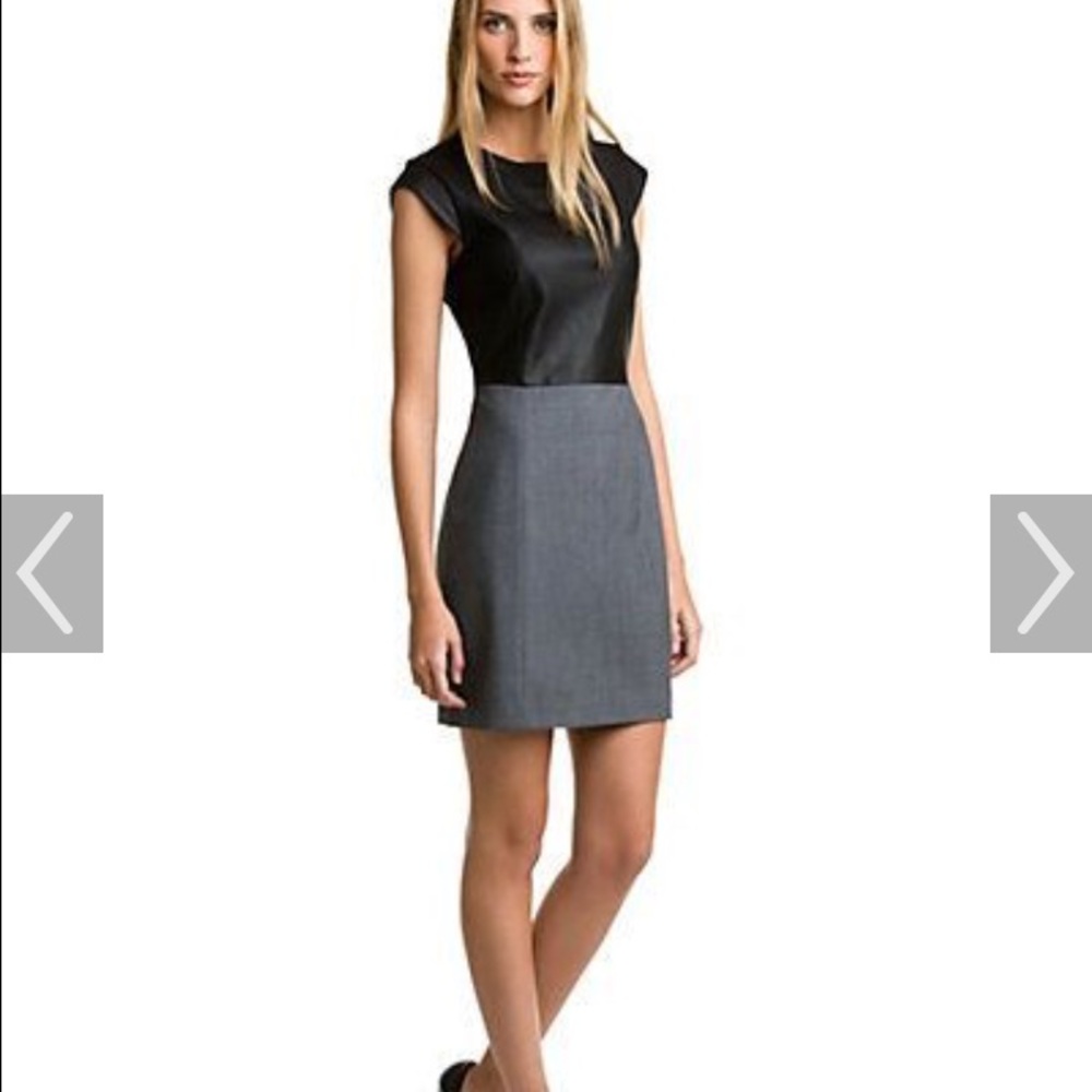 Theory Dress