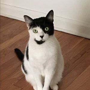 Meet your Posher, Amy