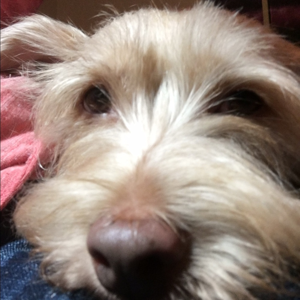 Meet your Posher, Kathy