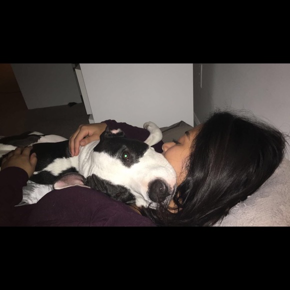 Meet your Posher, Mindy - Picture 2 of 2