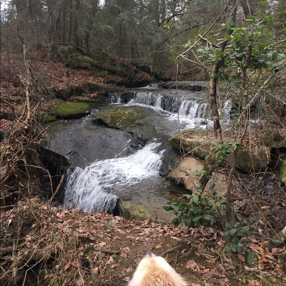 Meet your Posher, Krista