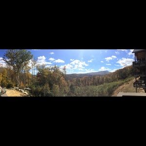 Meet your Posher, Sophie