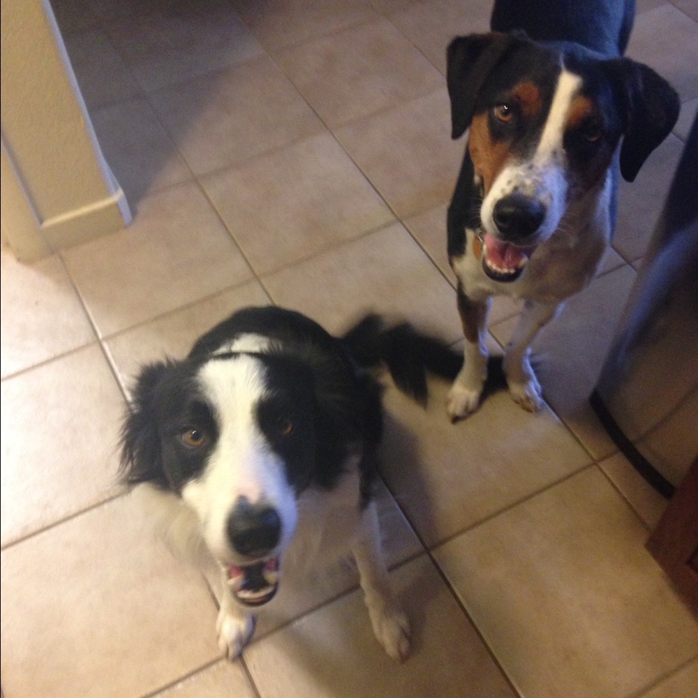 Meet your Posher, Michele