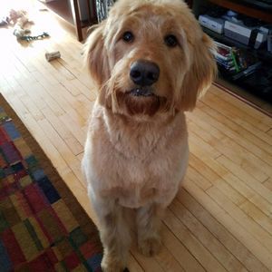 Meet your Posher, Andria