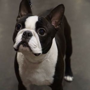 Meet your Posher, Loretta