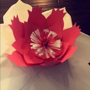 Meet your Posher, Lizz