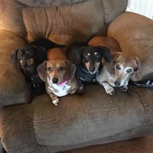 Meet your Posher, Kim n