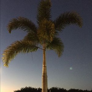 Meet your Posher, Jen