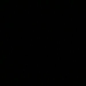 Meet your Posher, Jesus