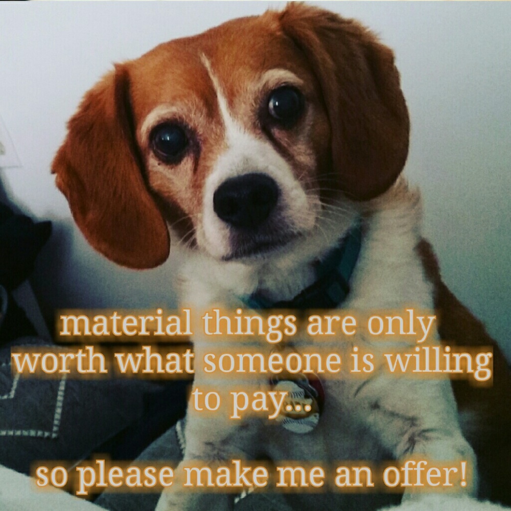 All offers considered!