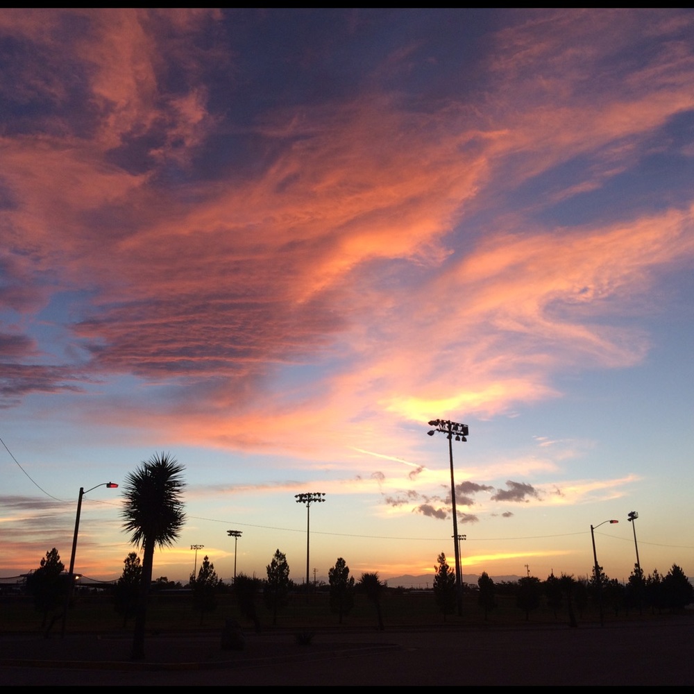 Meet your Posher, Tania