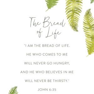 Meet your Posher, Dawn