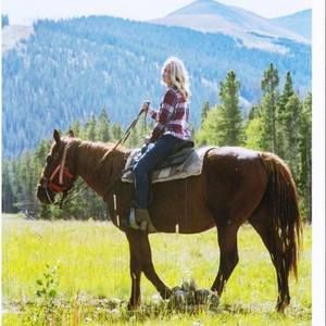 Meet your Posher, Ashley