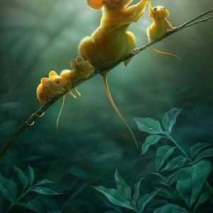 Meet your Posher, Jacki