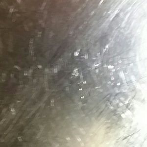 Meet your Posher, Thierno