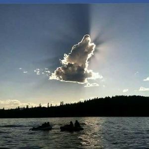 Meet your Posher, Terri