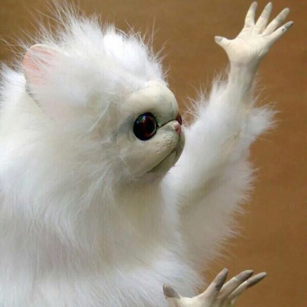 Meet your Posher, Shisney