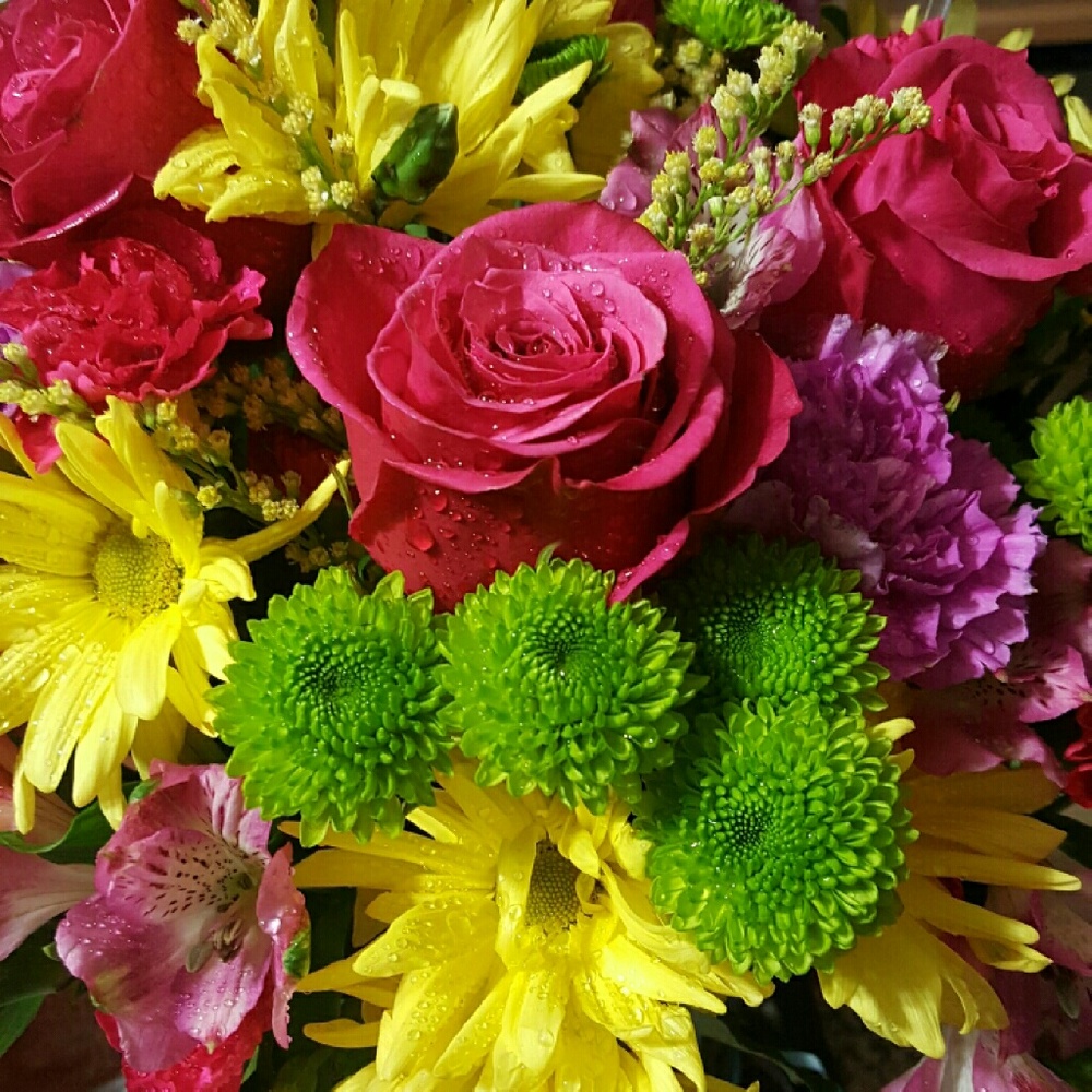 Meet your Posher, Mari francis