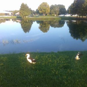 Meet your Posher, Sheila