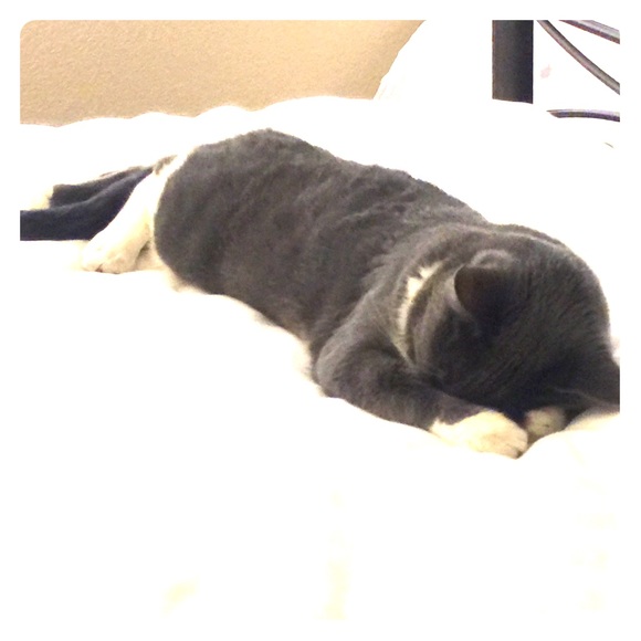 ❄️✨Welcome to Renee's Closet✨❄️ - Picture 8 of 16