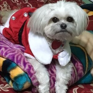 Meet your Posher, Jocelyn