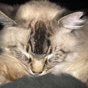 Meet your Posher, Alicia