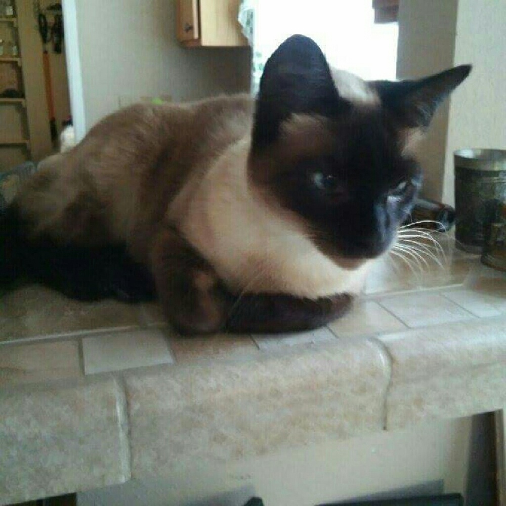 Meet your Posher, Jenna