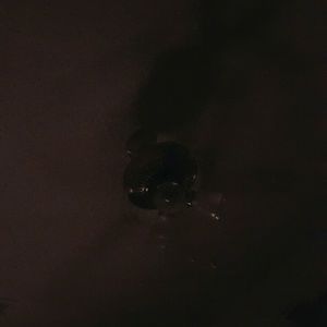 Meet your Posher, Samuel