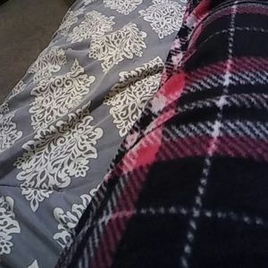 Meet your Posher, Kesha