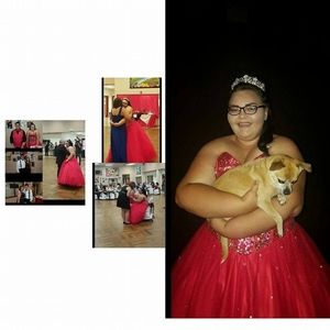 Meet your Posher, Sammy