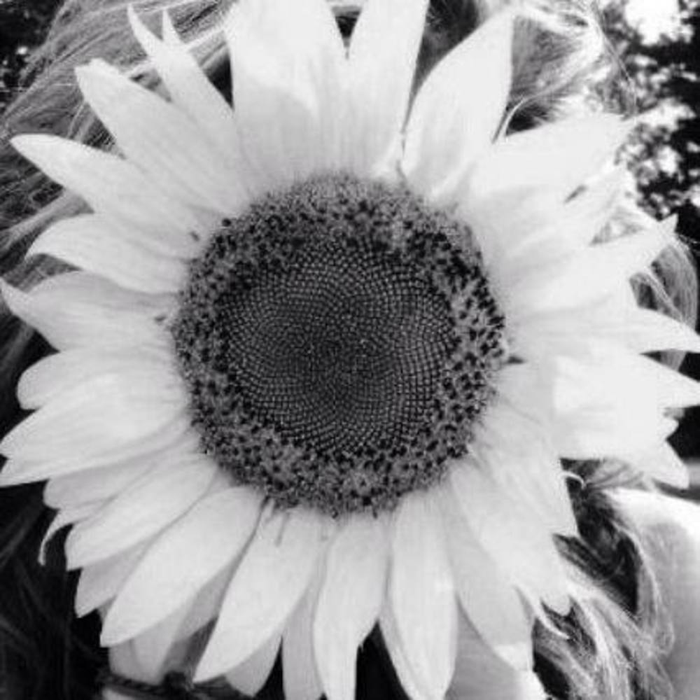 Meet your Posher, Paige