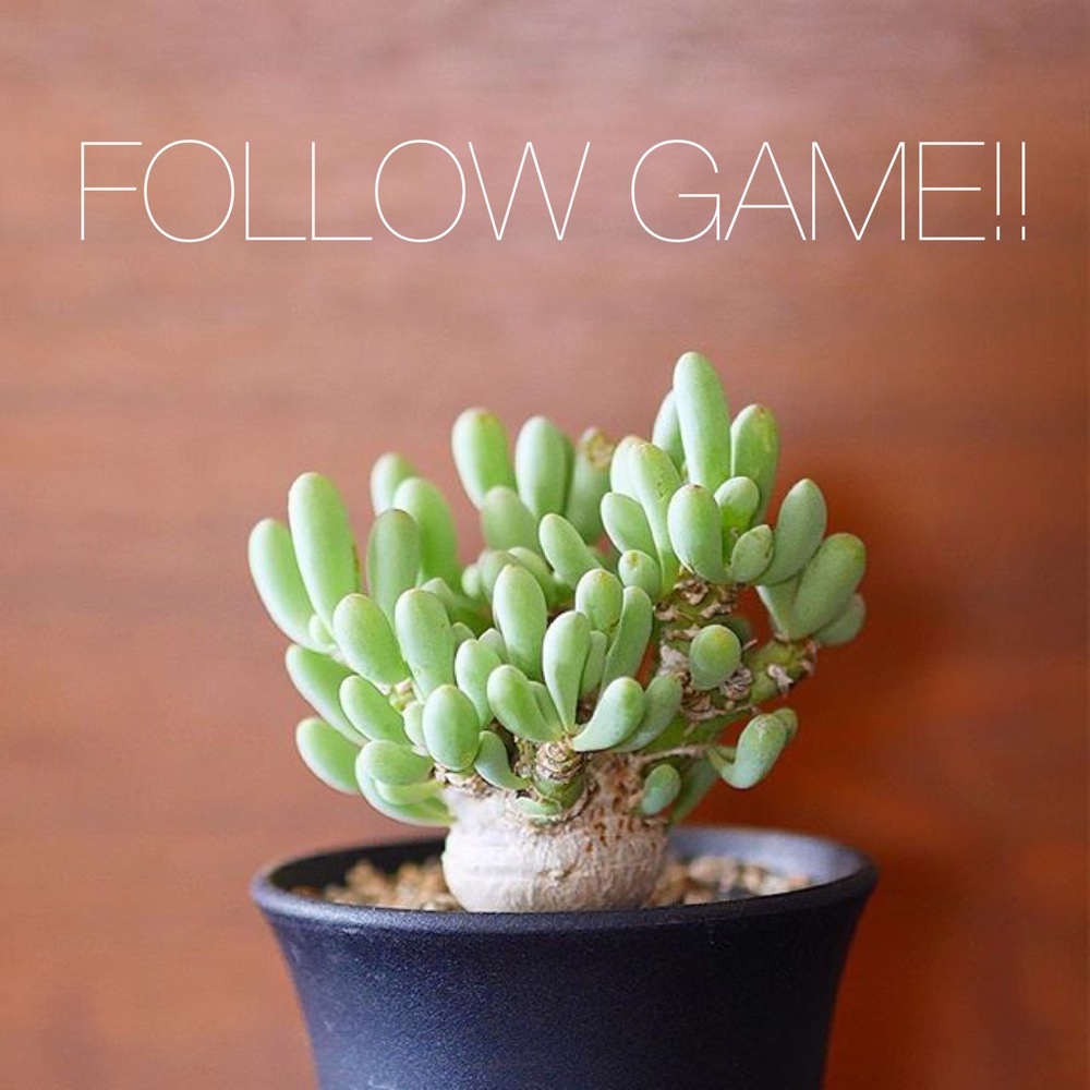 GROW your network!! 🌿 Come back and follow!!!