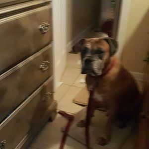 Meet your Posher, Cathy