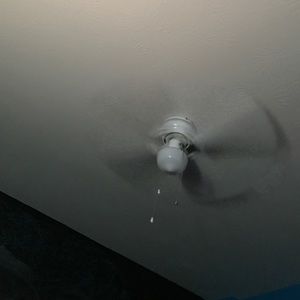 Meet your Posher, Jonelle