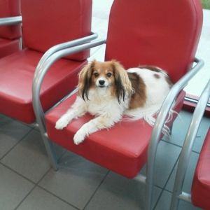 Meet your Posher, Faye