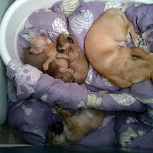 Meet your Posher, Stacey