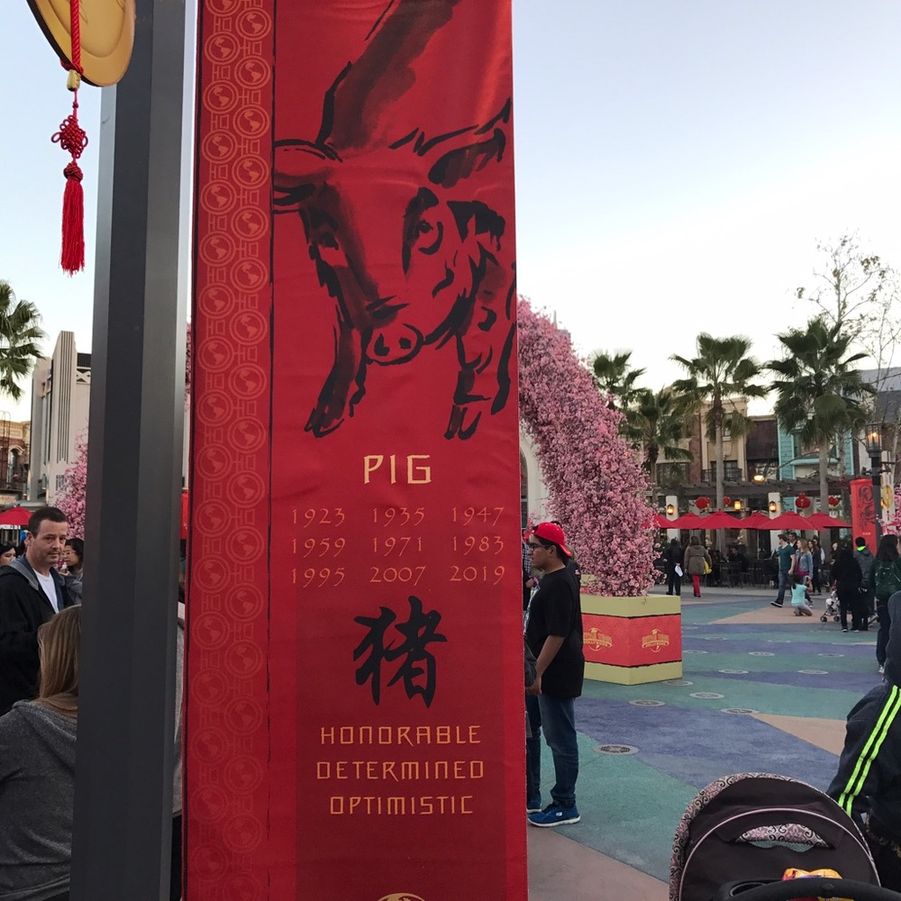 Meet your Posher, Yasmine