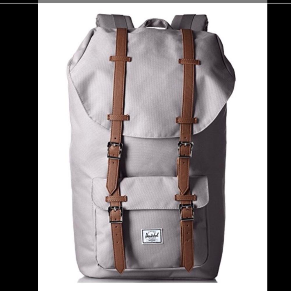 Herschel back pack gray/pink stripe lining