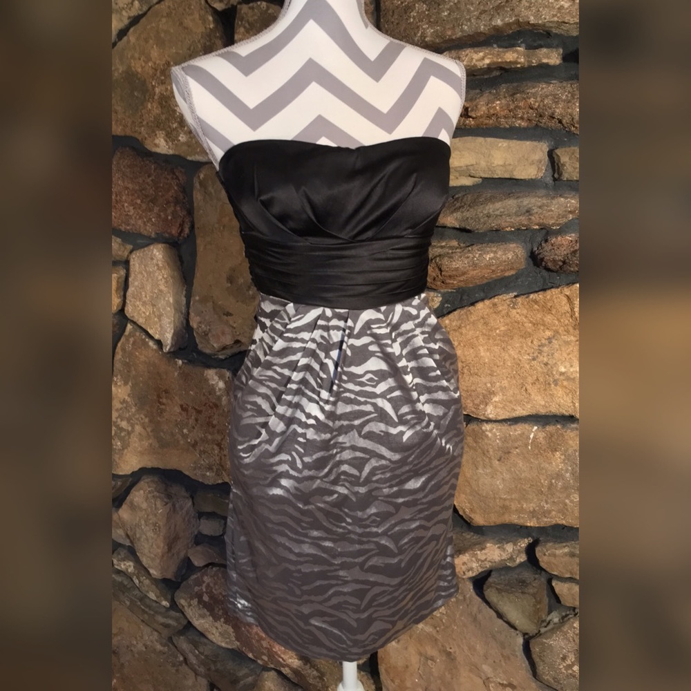 ZEBRA PRINT STRAPLESS DRESS BY SNAP