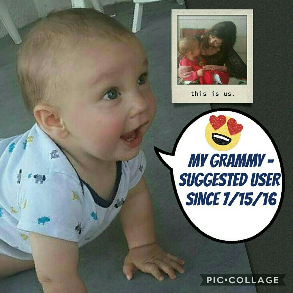 🐘SUGGESTED USER SINCE 7/15/16🐖