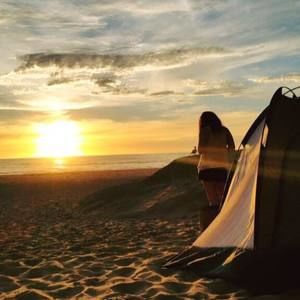 Meet your Posher, Bailey